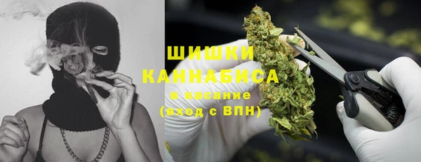 прущие грибы Алзамай