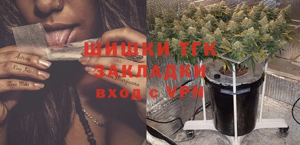 прущие грибы Алзамай