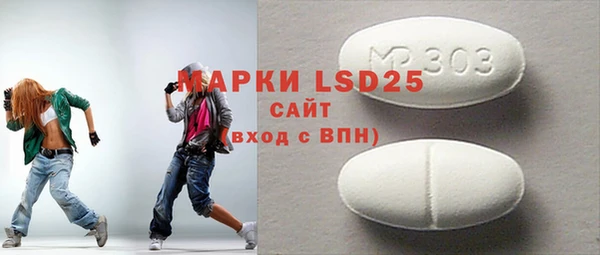 прущие грибы Алзамай