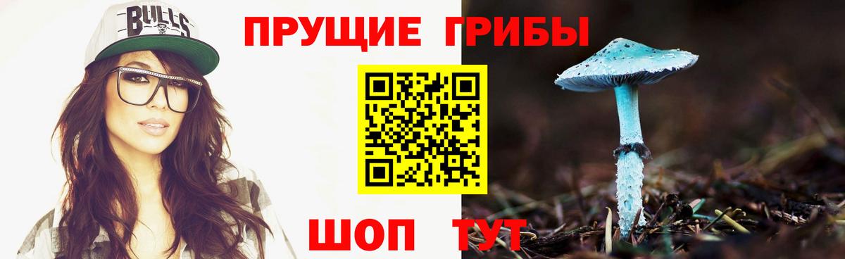 Глазов  Псилоцибиновые грибы MAGIC MUSHROOMS  Вход с VPN 